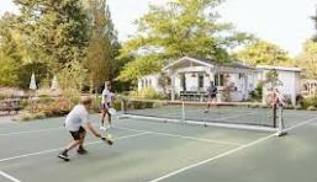 Green Valley Playstation-1